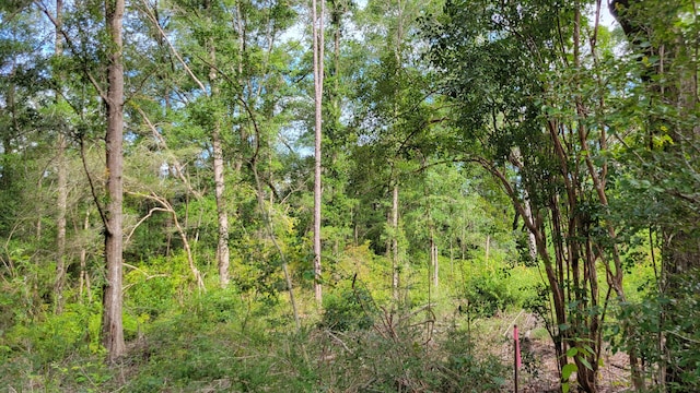 00 NE Second Ave, Crestview, FL 32539 - photo 1