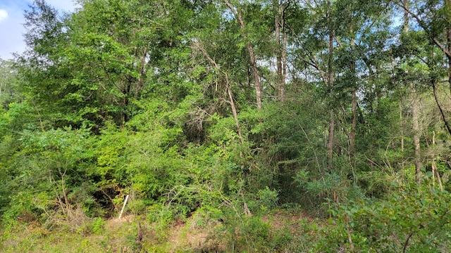 00 NE Second Ave, Crestview, FL 32539 - photo 6