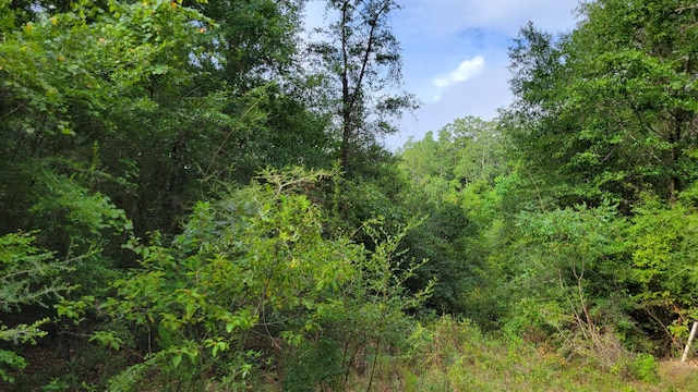 00 NE Second Ave, Crestview, FL 32539 - photo 7