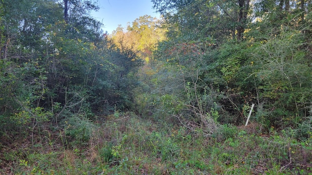 00 NE Second Ave, Crestview, FL 32539 - photo 10