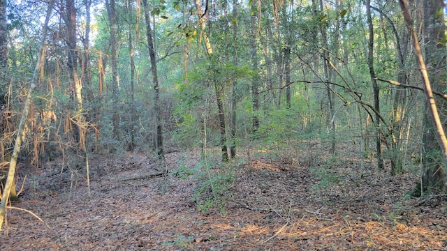 00 NE Second Ave, Crestview, FL 32539 - photo 11