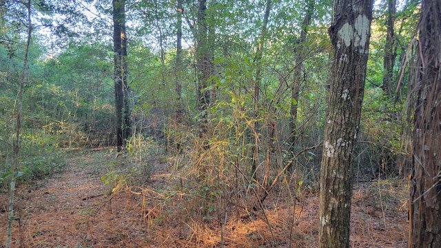 00 NE Second Ave, Crestview, FL 32539 - photo 13