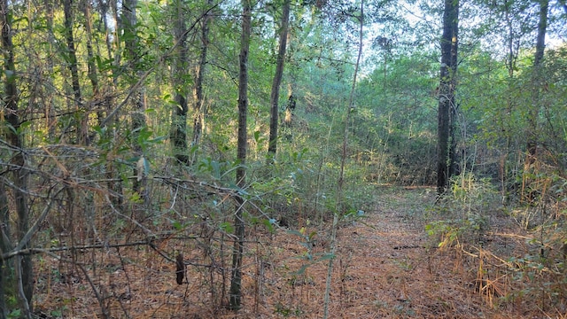 00 NE Second Ave, Crestview, FL 32539 - photo 14