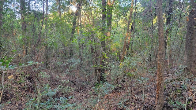 00 NE Second Ave, Crestview, FL 32539 - photo 17