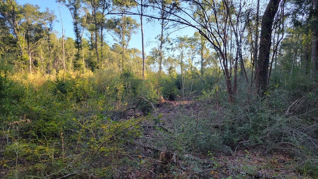 00 NE Second Ave, Crestview, FL 32539 - photo 18