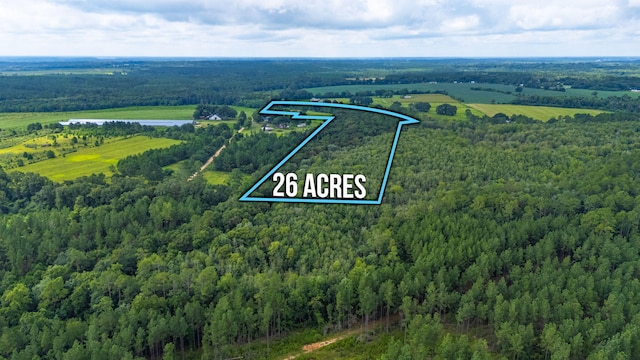 2685 Presott Rd, Florala, AL 36442 - photo 26