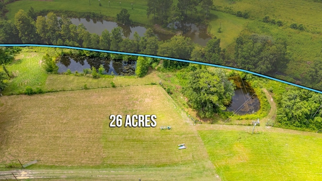 2685 Presott Rd, Florala, AL 36442 - photo 27