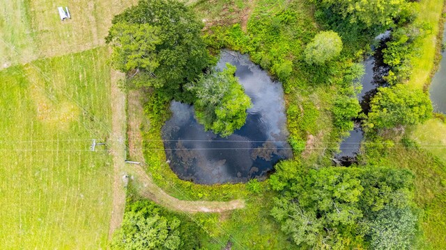 2685 Presott Rd, Florala, AL 36442 - photo 17