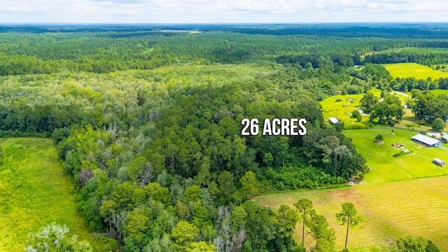 2685 Presott Rd, Florala, AL 36442 - photo 28