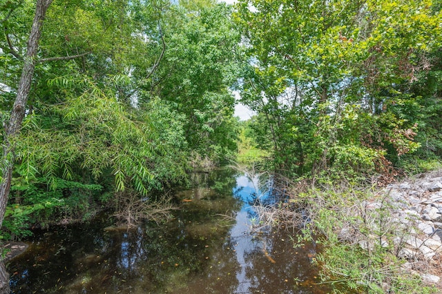 2685 Presott Rd, Florala, AL 36442 - photo 21