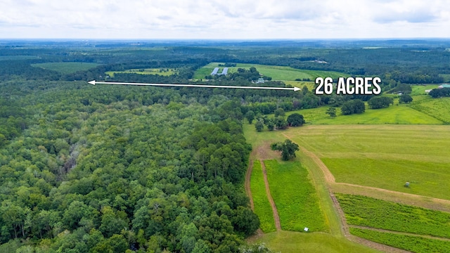 2685 Presott Rd, Florala, AL 36442 - photo 31