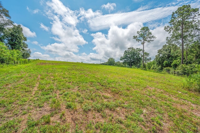 2685 Presott Rd, Florala, AL 36442 - photo 4