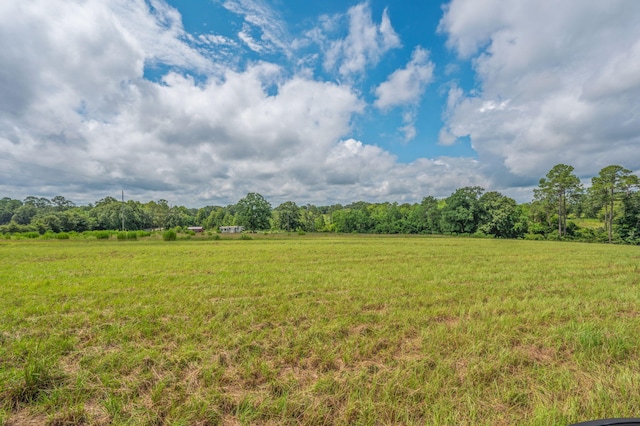2685 Presott Rd, Florala, AL 36442 - photo 5