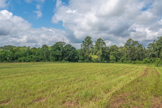 2685 Presott Rd, Florala, AL 36442 - photo 10