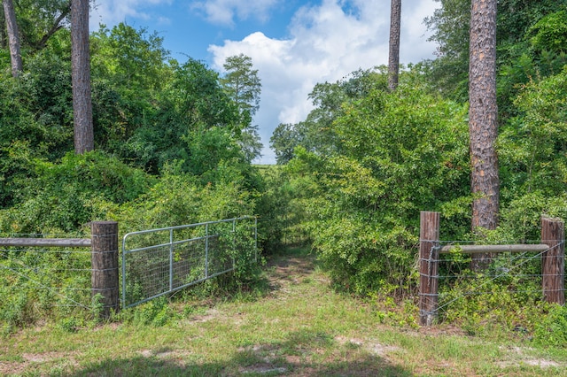 2685 Presott Rd, Florala, AL 36442 - photo 3
