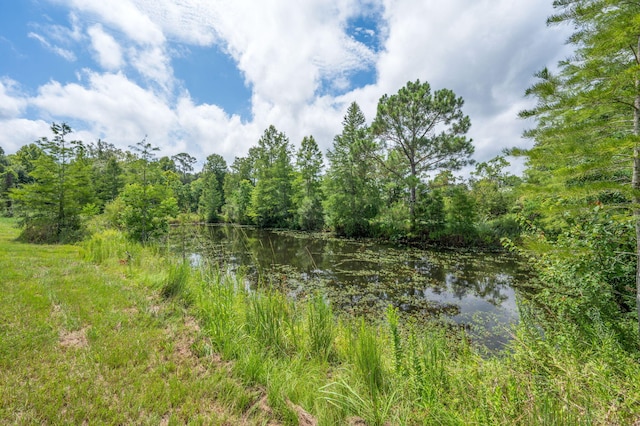 2685 Presott Rd, Florala, AL 36442 - photo 20