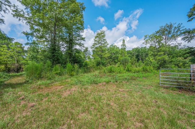 2685 Presott Rd, Florala, AL 36442 - photo 7