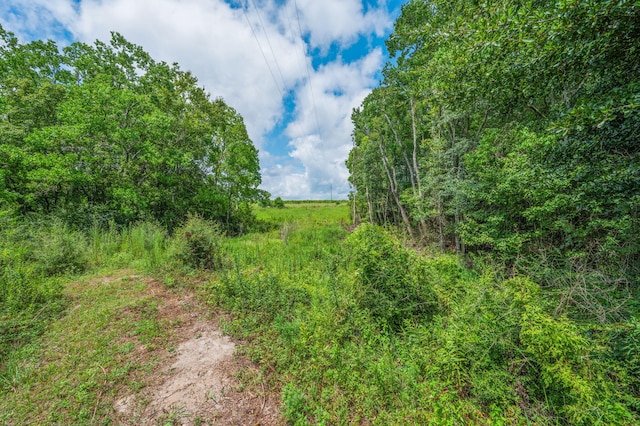 2685 Presott Rd, Florala, AL 36442 - photo 8