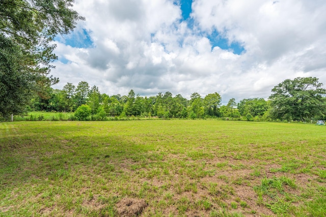 2685 Presott Rd, Florala, AL 36442 - photo 9