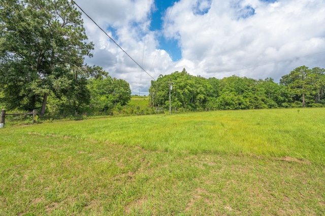 2685 Presott Rd, Florala, AL 36442 - photo 14