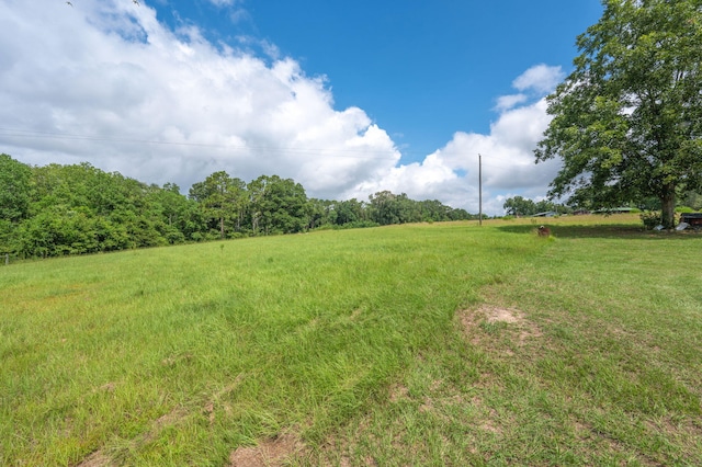 2685 Presott Rd, Florala, AL 36442 - photo 12