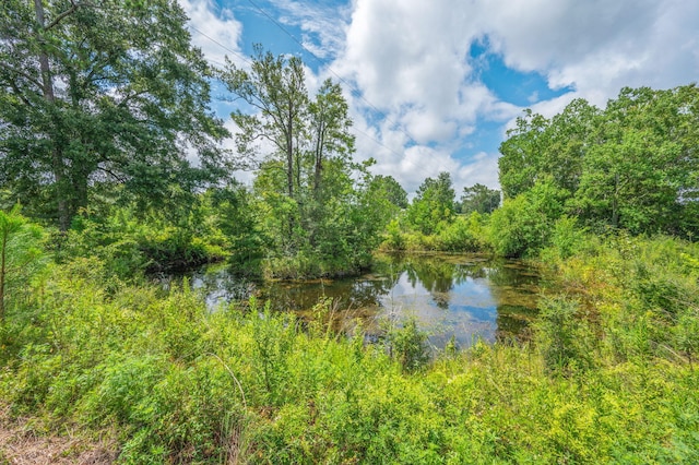 2685 Presott Rd, Florala, AL 36442 - photo 18