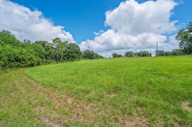2685 Presott Rd, Florala, AL 36442 - photo 13