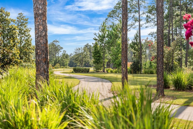 158 Whispering Way, Freeport, FL 32439 - photo 108