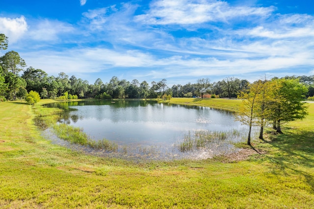 158 Whispering Way, Freeport, FL 32439 - photo 138