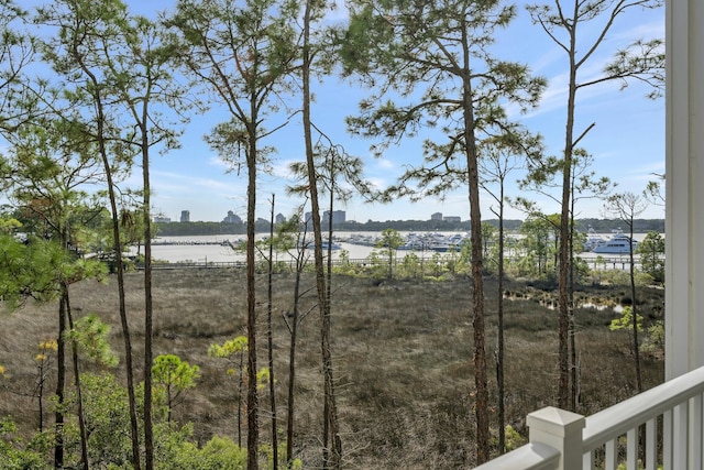 9600 Grand Sandestin Blvd Unit 3316, Miramar Beach, FL 32550 - photo 30