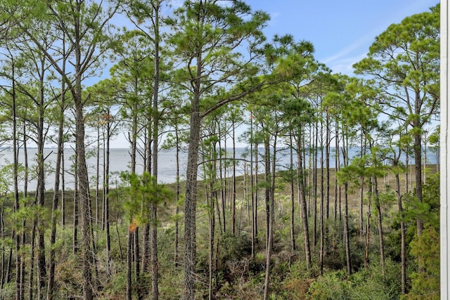 9600 Grand Sandestin Blvd Unit 3316, Miramar Beach, FL 32550 - photo 32