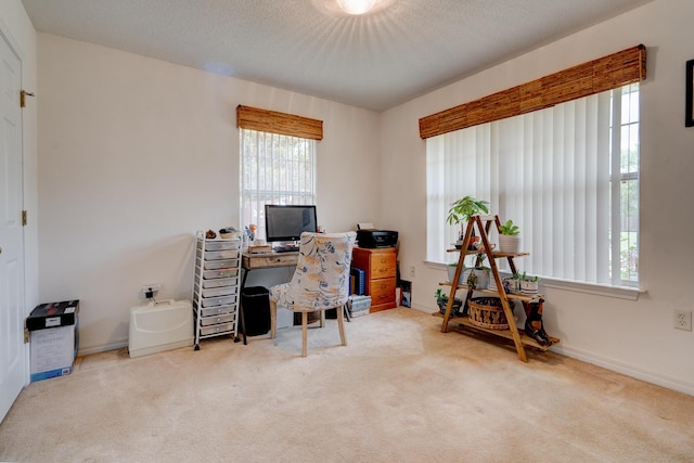 4173 Big Buck Trl, Crestview, FL 32539 - photo 20