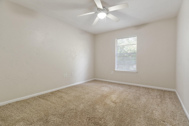 11 Eglin Dr, Shalimar, FL 32579 - photo 29
