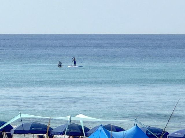 135 S Driftwood Bay Unit 117, Miramar Beach, FL 32550 - photo 29