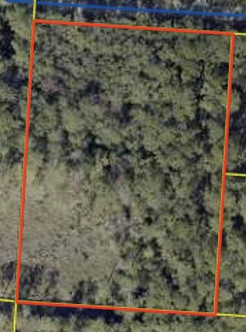 TBD Sparkleberry Ln, Freeport, FL 32439 - photo 1