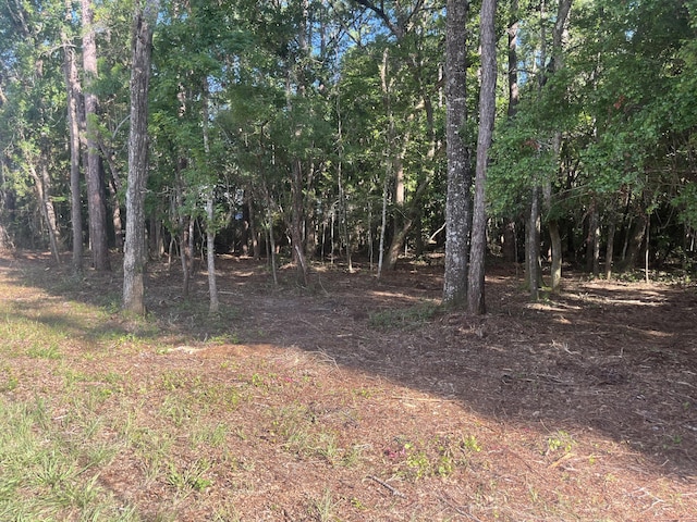 TBD Sparkleberry Ln, Freeport, FL 32439 - photo 5