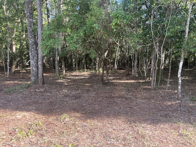 TBD Sparkleberry Ln, Freeport, FL 32439 - photo 6