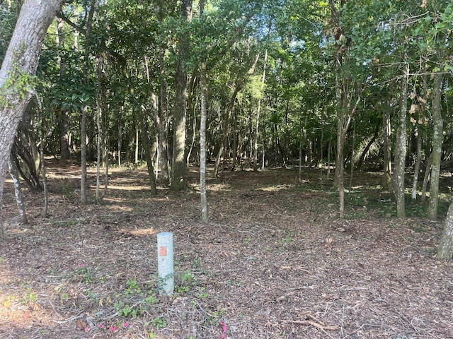 TBD Sparkleberry Ln, Freeport, FL 32439 - photo 7