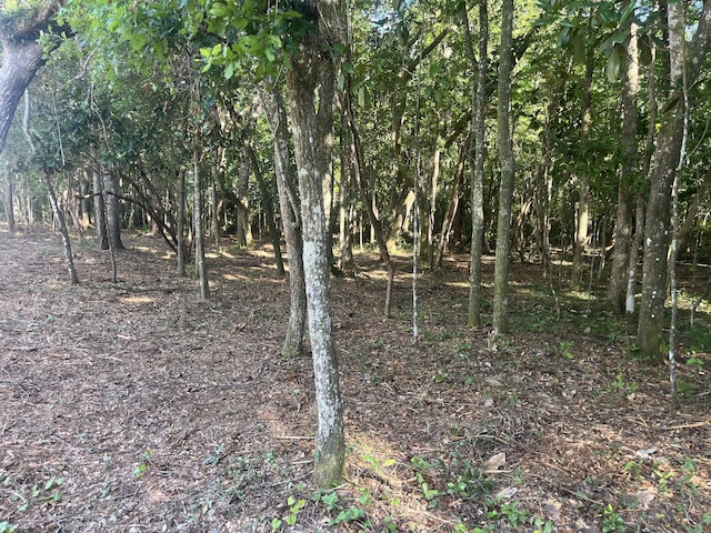 TBD Sparkleberry Ln, Freeport, FL 32439 - photo 8
