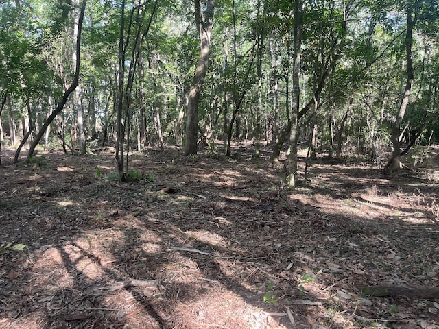 TBD Sparkleberry Ln, Freeport, FL 32439 - photo 9