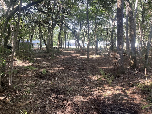 TBD Sparkleberry Ln, Freeport, FL 32439 - photo 10
