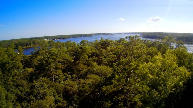 TBD Sparkleberry Ln, Freeport, FL 32439 - photo 11