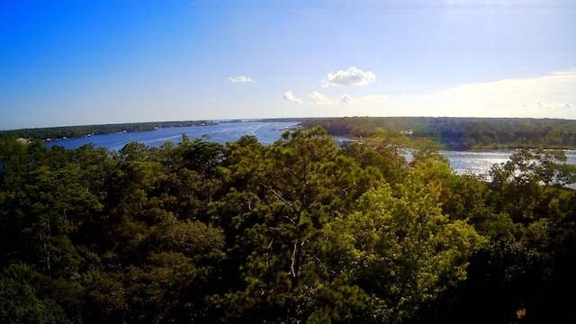 TBD Sparkleberry Ln, Freeport, FL 32439 - photo 12