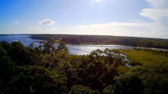 TBD Sparkleberry Ln, Freeport, FL 32439 - photo 14