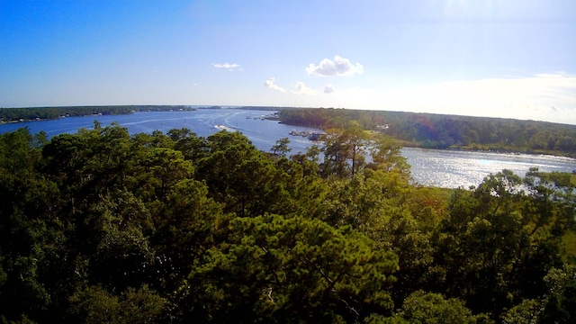TBD Sparkleberry Ln, Freeport, FL 32439 - photo 15