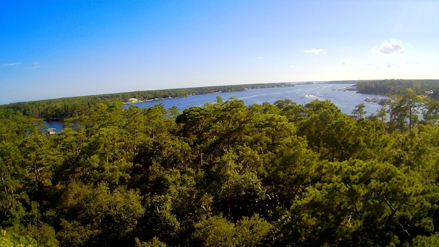 TBD Sparkleberry Ln, Freeport, FL 32439 - photo 16