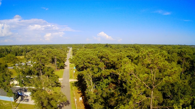 TBD Sparkleberry Ln, Freeport, FL 32439 - photo 17