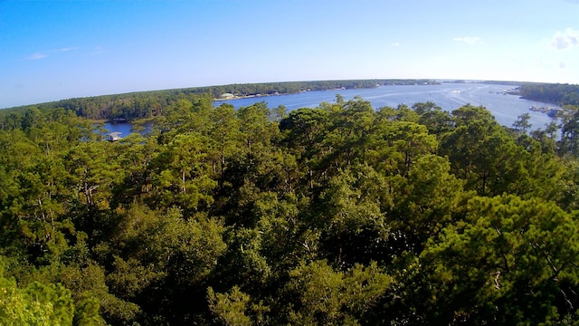 TBD Sparkleberry Ln, Freeport, FL 32439 - photo 18