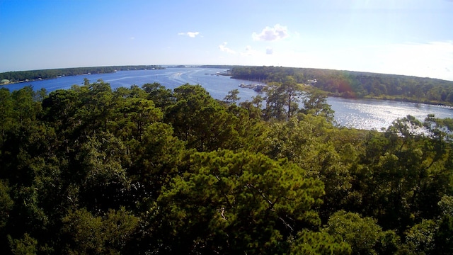 TBD Sparkleberry Ln, Freeport, FL 32439 - photo 19