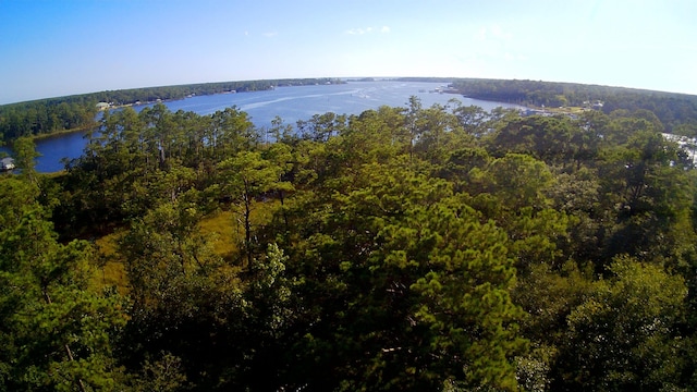 TBD Sparkleberry Ln, Freeport, FL 32439 - photo 21